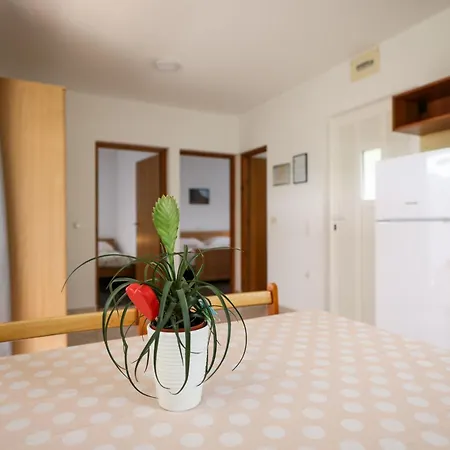 Kika Apartment *